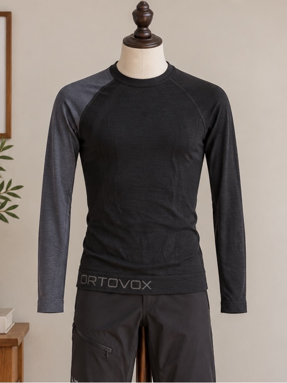 Ortovox 120 Competition Merino Baselayer S Ski Alpine Gorpcore Long Sleeve